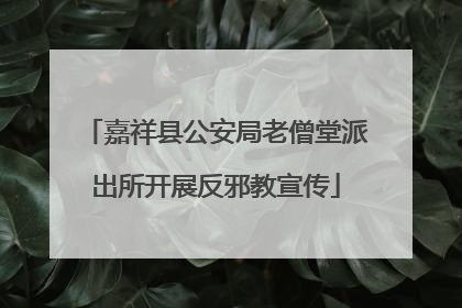 嘉祥县公安局老僧堂派出所开展反邪教宣传