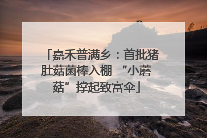 嘉禾普满乡：首批猪肚菇菌棒入棚 “小蘑菇”撑起致富伞