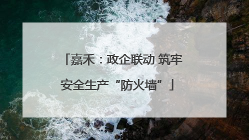 嘉禾：政企联动 筑牢安全生产“防火墙”