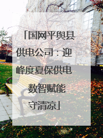 国网平舆县供电公司：迎峰度夏保供电  数智赋能守清凉