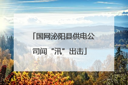 国网泌阳县供电公司闻“汛”出击