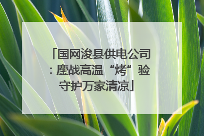国网浚县供电公司：鏖战高温“烤”验 守护万家清凉