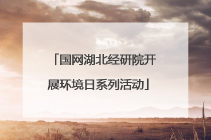 国网湖北经研院开展环境日系列活动