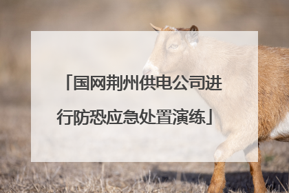 国网荆州供电公司进行防恐应急处置演练