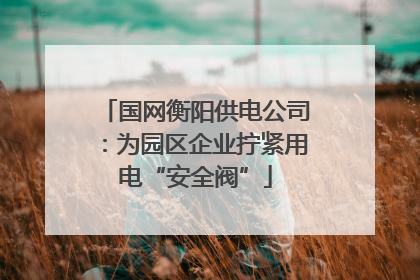 国网衡阳供电公司：为园区企业拧紧用电“安全阀”