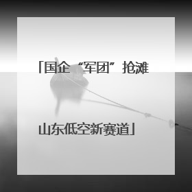 国企“军团”抢滩山东低空新赛道