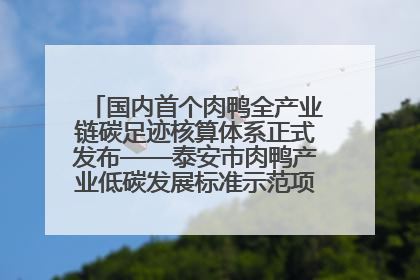国内首个肉鸭全产业链碳足迹核算体系正式发布——泰安市肉鸭产业低碳发展标准示范项目顺利通过验收