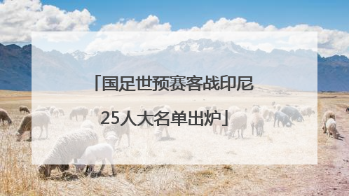 国足世预赛客战印尼25人大名单出炉