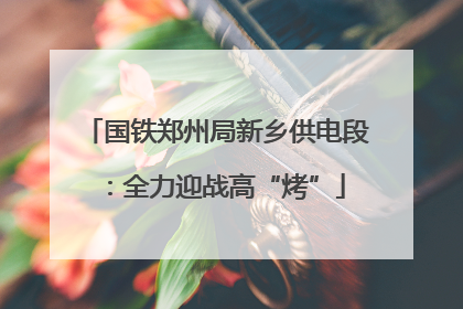 国铁郑州局新乡供电段：全力迎战高“烤”