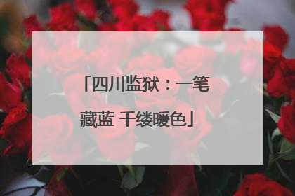四川监狱：一笔藏蓝 千缕暖色