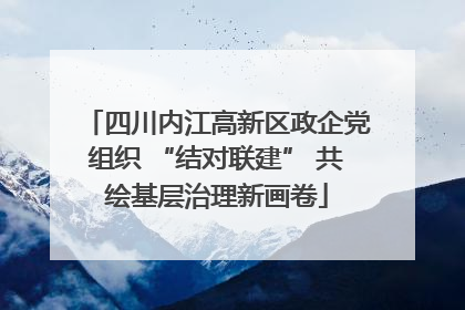 四川内江高新区政企党组织 “结对联建” 共绘基层治理新画卷