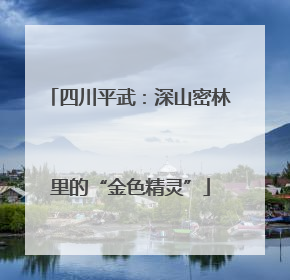 四川平武：深山密林里的“金色精灵”