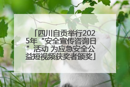 四川自贡举行2025年“安全宣传咨询日”活动 为应急安全公益短视频获奖者颁奖