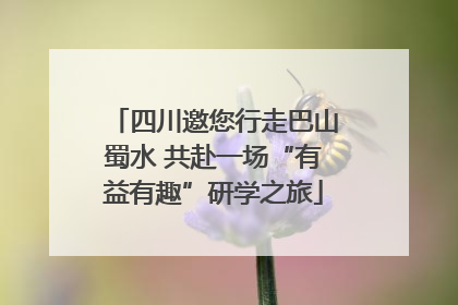 四川邀您行走巴山蜀水 共赴一场“有益有趣”研学之旅