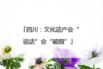四川：文化遗产会“说话”会“破圈”