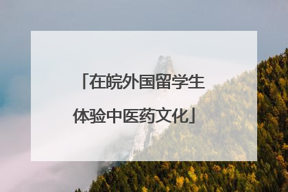 在皖外国留学生体验中医药文化