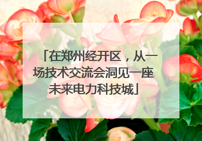 在郑州经开区，从一场技术交流会洞见一座未来电力科技城