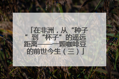 在非洲，从“种子”到“杯子”的遥远距离——一颗咖啡豆的前世今生（三）