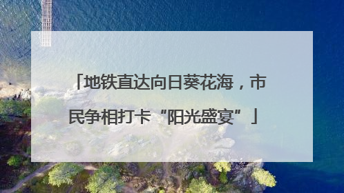 地铁直达向日葵花海，市民争相打卡“阳光盛宴”