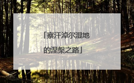 察汗淖尔湿地的涅槃之路