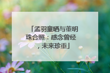 孟羽童晒与董明珠合照：感念曾经，未来珍重