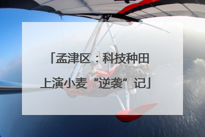 孟津区：科技种田 上演小麦“逆袭”记