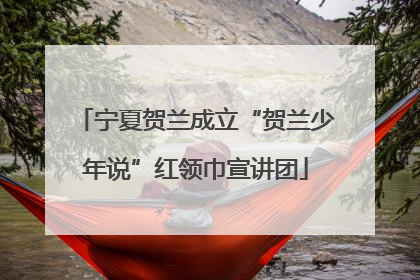 宁夏贺兰成立“贺兰少年说”红领巾宣讲团