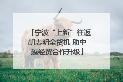 宁波“上新”往返胡志明全货机 助中越经贸合作升级