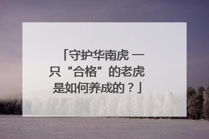 守护华南虎 一只“合格”的老虎是如何养成的？