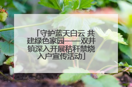 守护蓝天白云 共建绿色家园——双井镇深入开展秸秆禁烧入户宣传活动