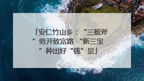 安仁竹山乡：“三板斧”劈开致富路 “新三宝”种出好“钱”景