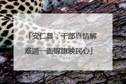 安仁县：干部真情解难题一面锦旗映民心