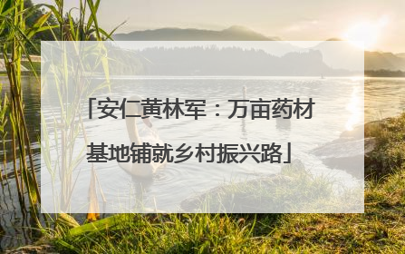 安仁黄林军：万亩药材基地铺就乡村振兴路