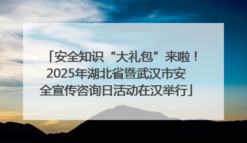 安全知识“大礼包”来啦！2025年湖北省暨武汉市安全宣传咨询日活动在汉举行