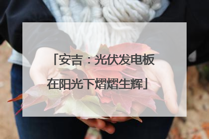 安吉：光伏发电板在阳光下熠熠生辉