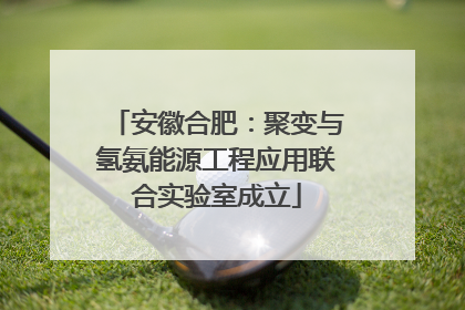 安徽合肥：聚变与氢氨能源工程应用联合实验室成立