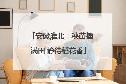 安徽淮北：秧苗插满田 静待稻花香