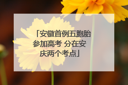 安徽首例五胞胎参加高考 分在安庆两个考点