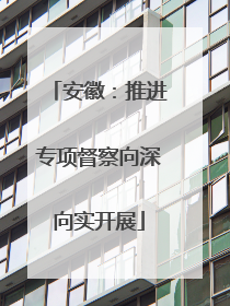 安徽：推进专项督察向深向实开展
