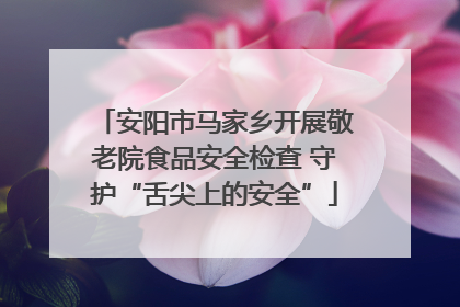 安阳市马家乡开展敬老院食品安全检查 守护“舌尖上的安全”