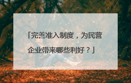 完善准入制度，为民营企业带来哪些利好？