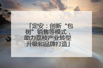 定安：创新“包树”销售等模式，助力荔枝产业转型升级和品牌打造