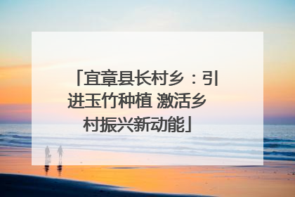 宜章县长村乡：引进玉竹种植 激活乡村振兴新动能