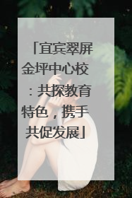 宜宾翠屏金坪中心校：共探教育特色，携手共促发展