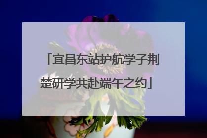 宜昌东站护航学子荆楚研学共赴端午之约