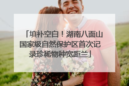 填补空白！湖南八面山国家级自然保护区首次记录珍稀物种宽距兰