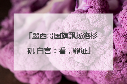 墨西哥国旗飘扬洛杉矶 白宫：看，罪证