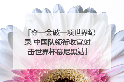 夺一金破一项世界纪录 中国队领衔收官射击世界杯慕尼黑站
