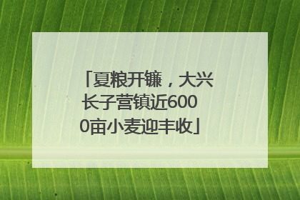 夏粮开镰，大兴长子营镇近6000亩小麦迎丰收