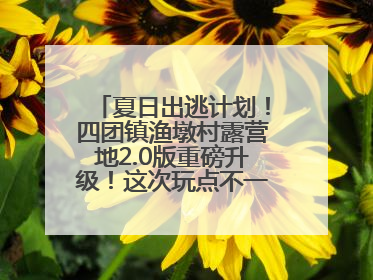 夏日出逃计划！四团镇渔墩村露营地2.0版重磅升级！这次玩点不一样的→丨深化商旅文体农展融合